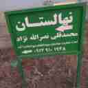 Nasrullah Nejad Nursery, production and sale of persimmon, pomegranate, fig, peach, walnut, and grape seedlings in Tabriz